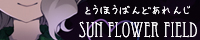 
�@�@Sun Flower Field/���[�L�@�@

